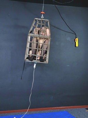 Caged Blonde Slave Punished